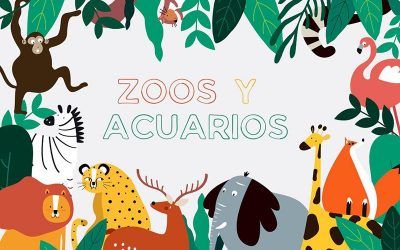 Pasa un día diferente en los mejores zoos y acuarios